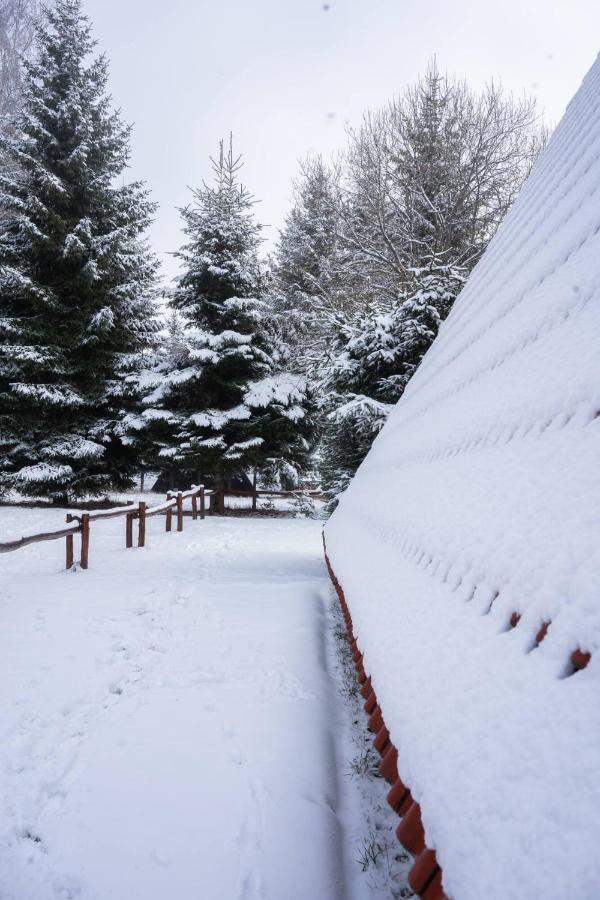 Villa Teodora Kopaonik Exterior foto